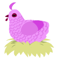 A lavender and orchid chicken with a lace pattern