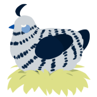 beepy, a mist and tumblr chicken with a bar pattern