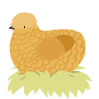 (unnamed), a honey and orange chicken with a lace pattern