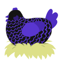 Ziwei Enclosure, a black and indigo chicken with a lace pattern