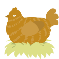 XYX ochre, a ochre and gold chicken with a bar pattern