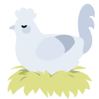 Cal, a white and mist chicken
