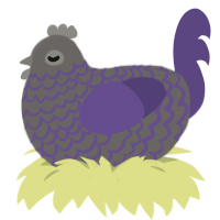 cobweb, a grey and overcast chicken with a lace pattern