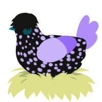 jagsus, a black and lilac chicken with a speckle pattern