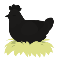 Archangel, a sable chicken with a head pattern