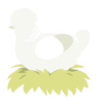 NECKBAR FLASHBANG, a white chicken with a neck-band pattern