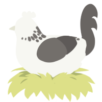 frank but blind, a white and grey chicken with a neck-speckle pattern