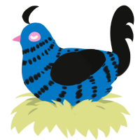 Thirty-800, a sapphire and black chicken with a bar pattern