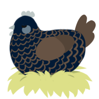 A tumblr and bark chicken with a lace pattern