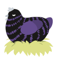 Monster, a sable and overcast chicken with a bar pattern