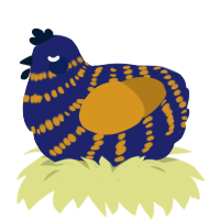 Michi, a navy and ochre chicken with a bar pattern