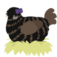 A black and bark chicken with a bar pattern