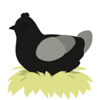 ballhead, a sable and ash chicken