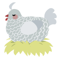 Smooth Rock, a silver and mist chicken with a lace pattern