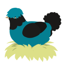 Wafer, a sea and sable chicken with a head pattern
