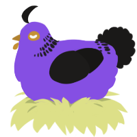 A blurple and sable chicken with a neck-band pattern