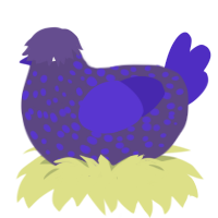 Luminescent, a overcast and indigo chicken with a speckle pattern