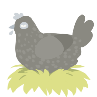 (unnamed), a ash chicken with a speckle pattern