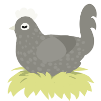 (unnamed), a ash chicken with a speckle pattern