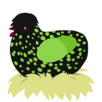 (unnamed), a black and grass chicken with a speckle pattern