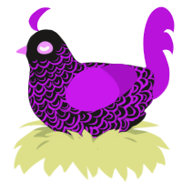 (unnamed), a sable and amethyst chicken with a double-lace pattern