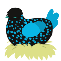 A black and cerulean chicken with a speckle pattern