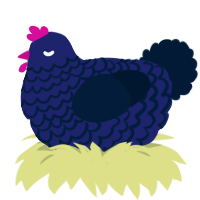 A navy and tumblr chicken with a lace pattern