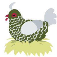 ROT, a olive and mist chicken with a lace pattern