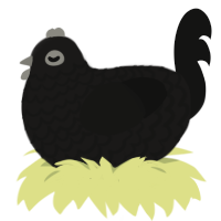 (unnamed), a sable and black chicken with a lace pattern