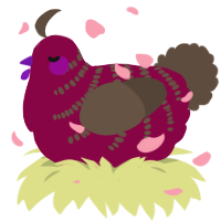 Apple, a maroon and bark chicken with a half-bar pattern