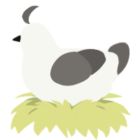 Blind, a white and grey chicken