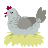 Rue barb, a silver and ash chicken with a half-lace pattern