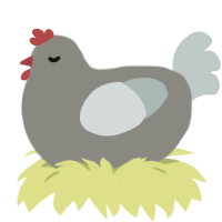 Gary, a ash and silver chicken