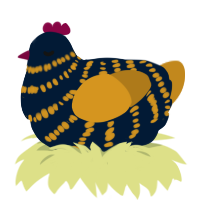 Au, a tumblr and ochre chicken with a bar pattern