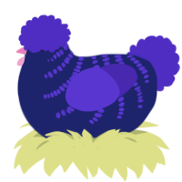 Black Light, a navy and indigo chicken with a half-bar pattern