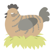 Sandbox, a beige and ash chicken with a half-bar pattern