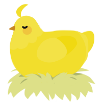 Chip, a yellow chicken with a head pattern