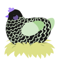 lettuce, a sable and gluppy chicken with a lace pattern