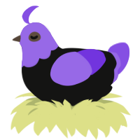 A black and blurple chicken with a head pattern