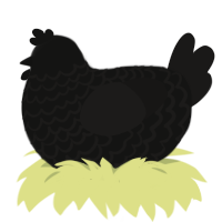 (unnamed), a black and sable chicken with a lace pattern