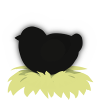 Responsibility, a black chicken