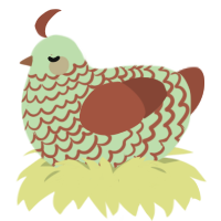 wiwi, a gluppy and russet chicken with a lace pattern