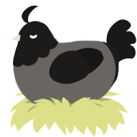 (unnamed), a grey and sable chicken with a head pattern