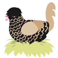 (unnamed), a sable and beige chicken with a lace pattern
