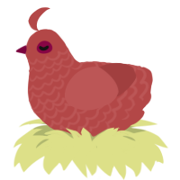 A red chicken with a lace pattern