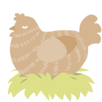 A beige chicken with a bar pattern