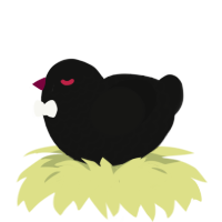 A black chicken with a lace pattern