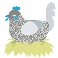 Bonemeal, a ash and mist chicken with a double-lace pattern