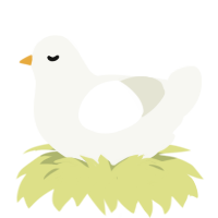 Scrump, a white chicken
