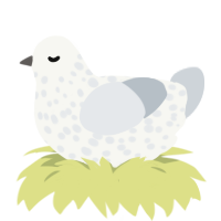 Noodle, a white and mist chicken with a speckle pattern